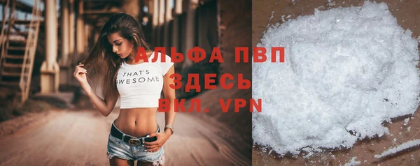 стаф Алексин