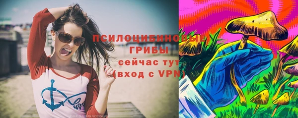 стаф Алексин